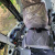 Экскаватор-погрузчик KNACK WESSON KW103-SPRO Экскаватор-погрузчик KNACK WESSON KW103-SPRO